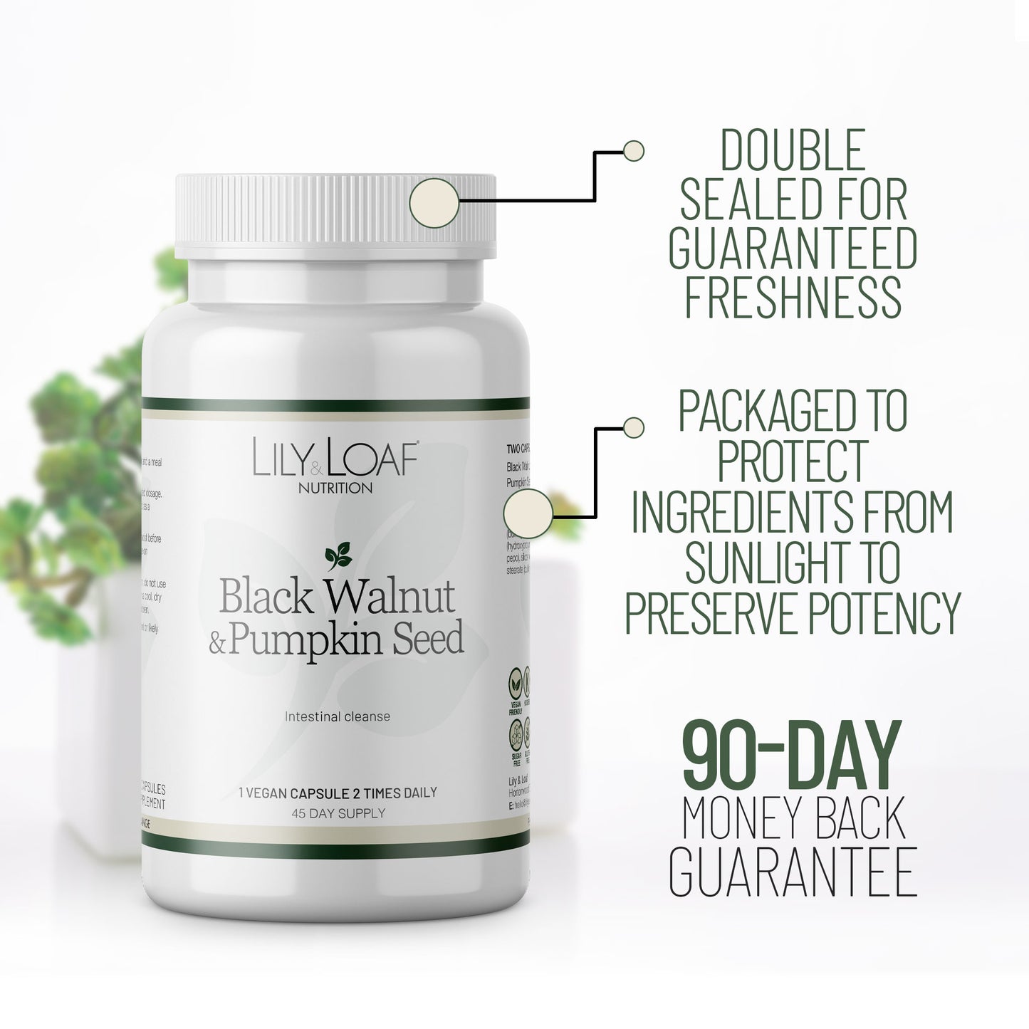 Black Walnut & Pumpkin Seed with packaging and guarantee