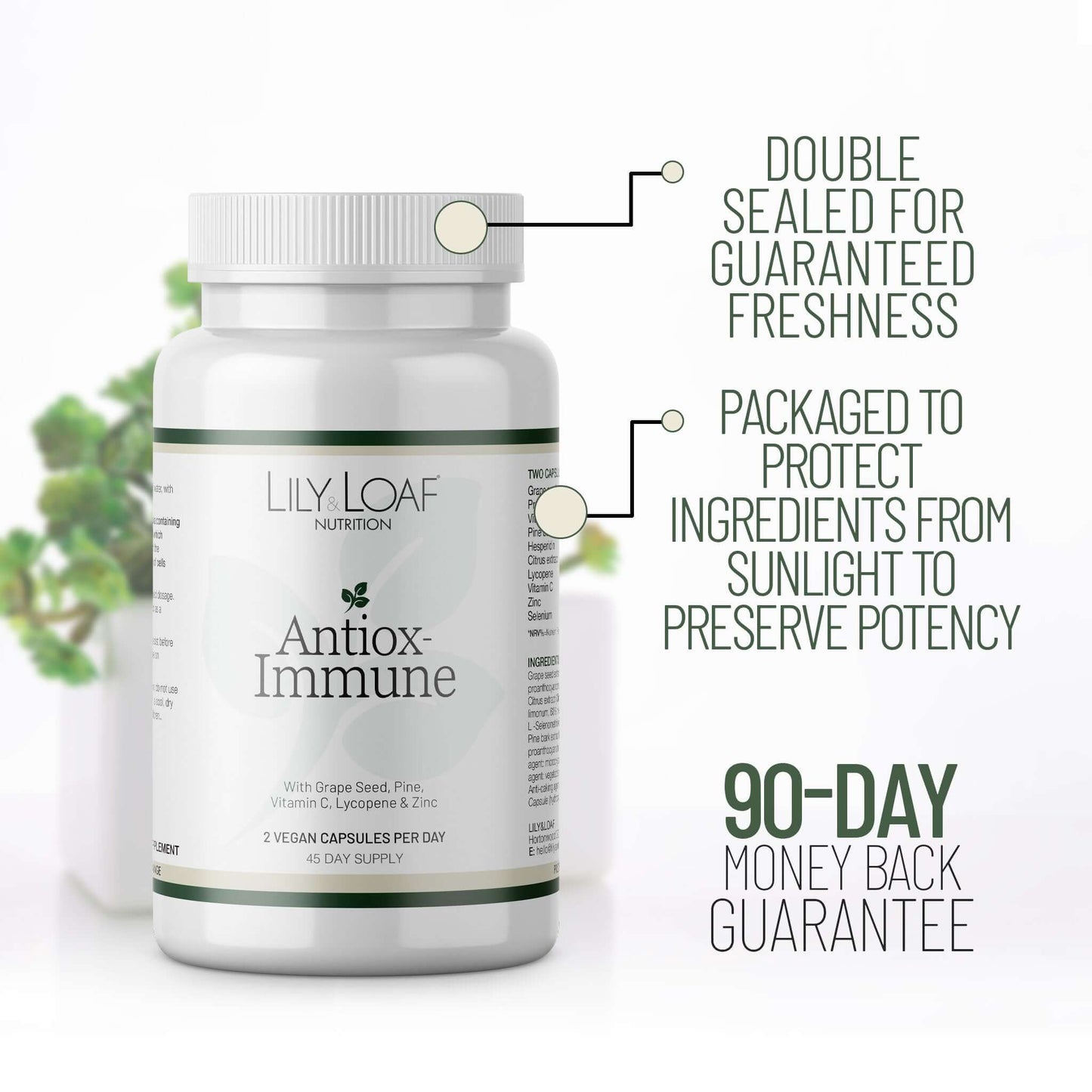 Lily & Loaf Antiox-Immune supplement bottle with callouts highlighting freshness seal, sun-protection packaging and 90-day money-back guarantee.