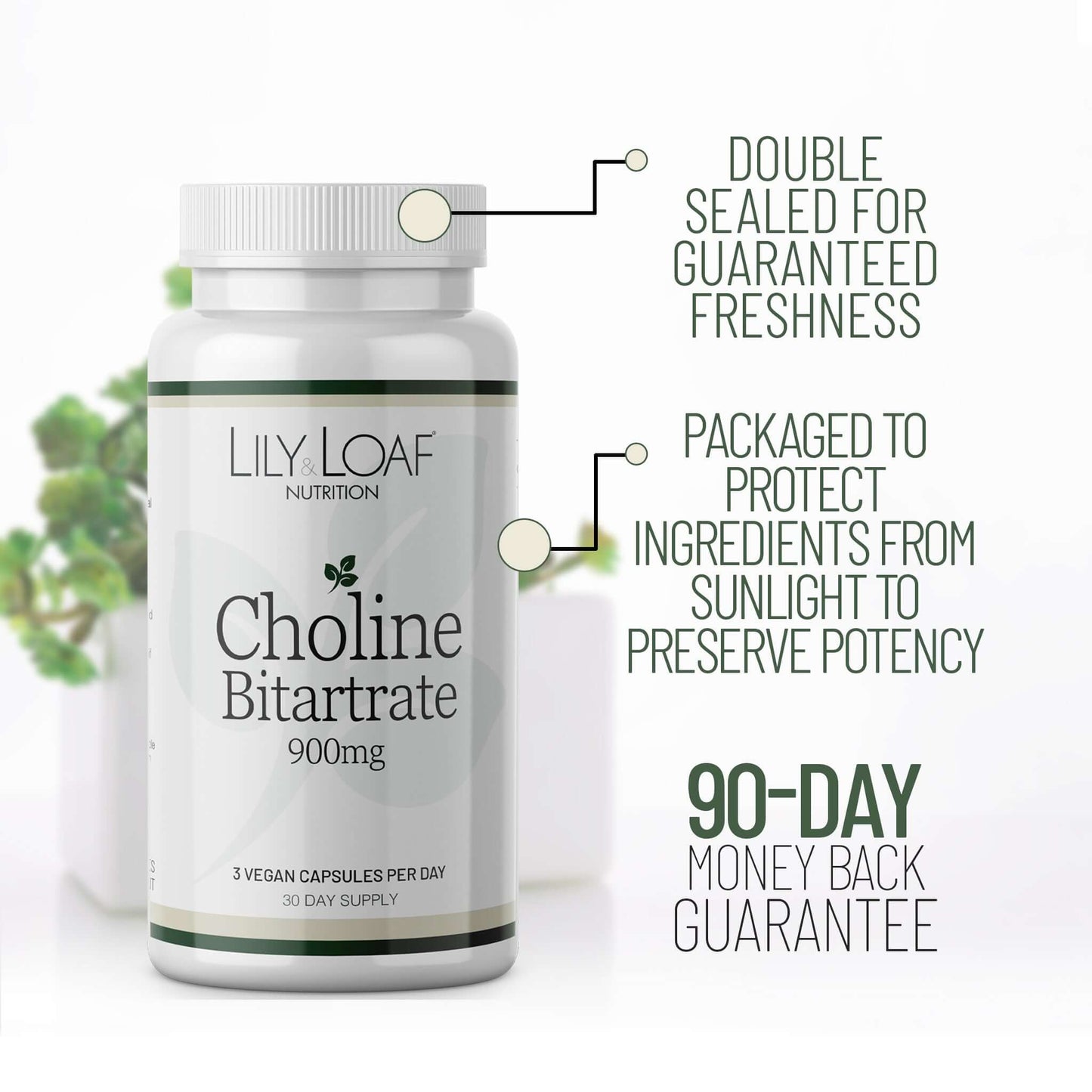 Lily & Loaf Choline Bitartrate 900mg bottle with freshness seal, UV protection packaging, and a 90-day money-back guarantee