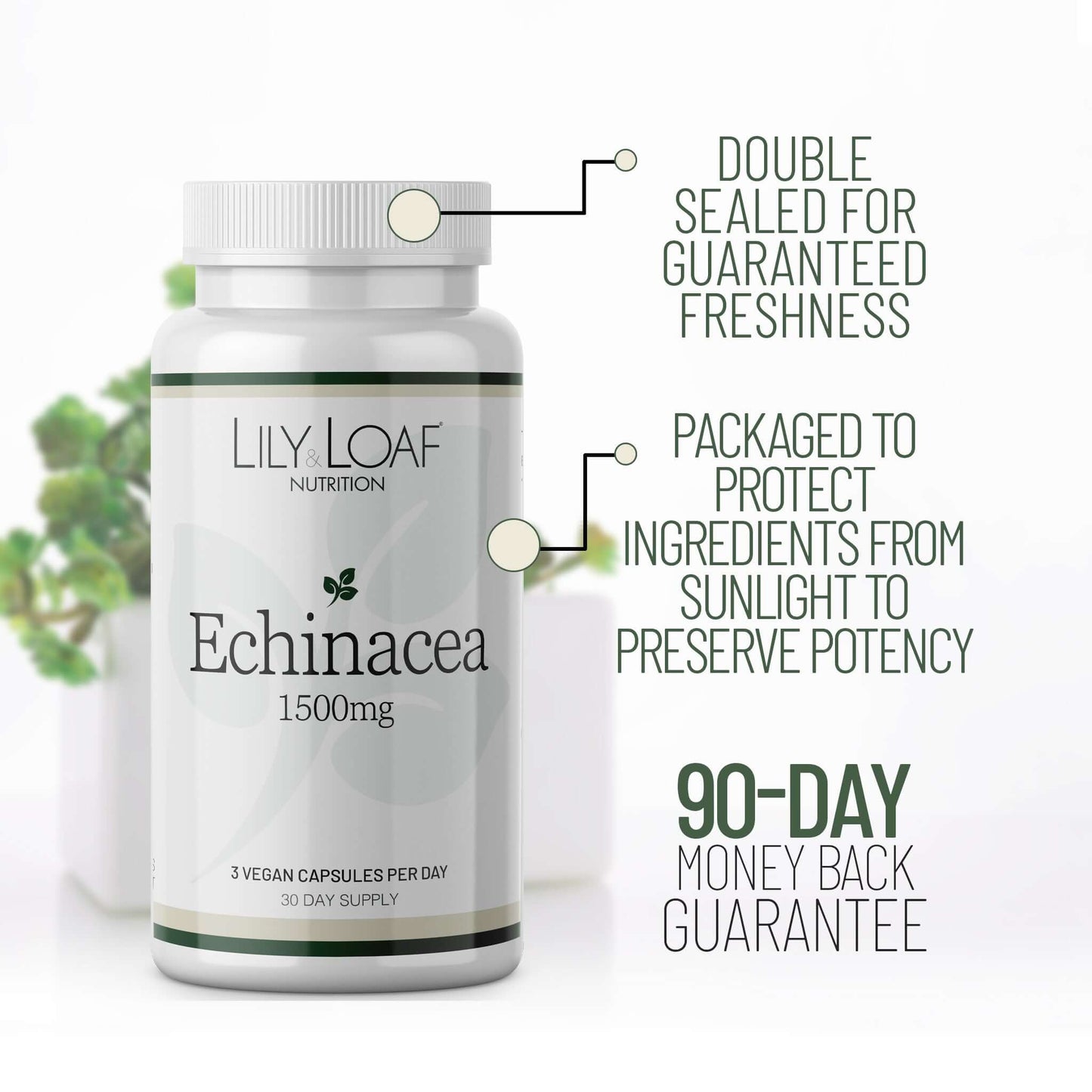 Lily & Loaf Echinacea 1500mg bottle with freshness seal, UV protection packaging, and a 90-day money-back guarantee