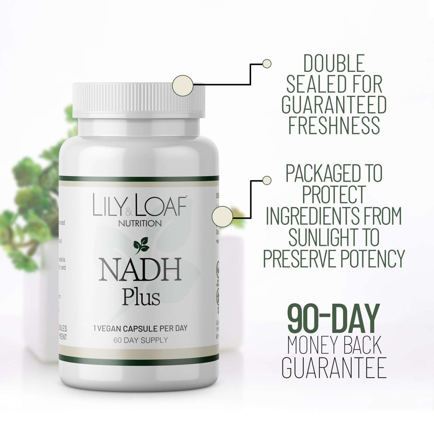 Lily & Loaf NADH Plus supplement bottle highlighting double seal, light-protective packaging, and 90-day money-back guarantee.