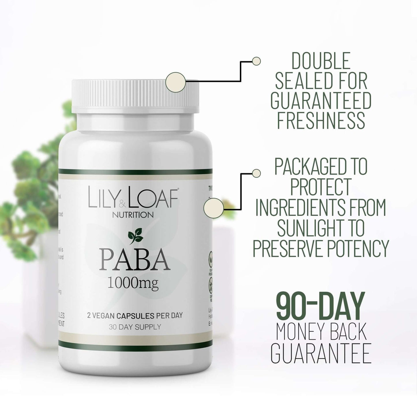 Lily & Loaf PABA with packaging information and 90-day guarantee highlights