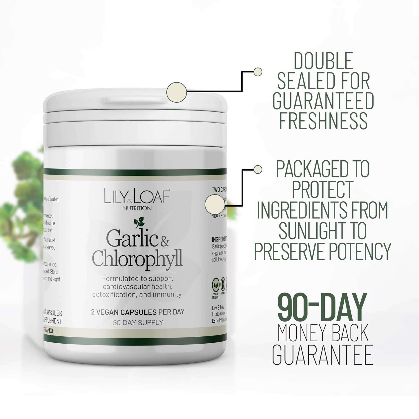 Lily & Loaf Garlic & Chlorophyll supplement with packaging callouts showing double-seal freshness, sunlight protection, and 90-day money-back guarantee.