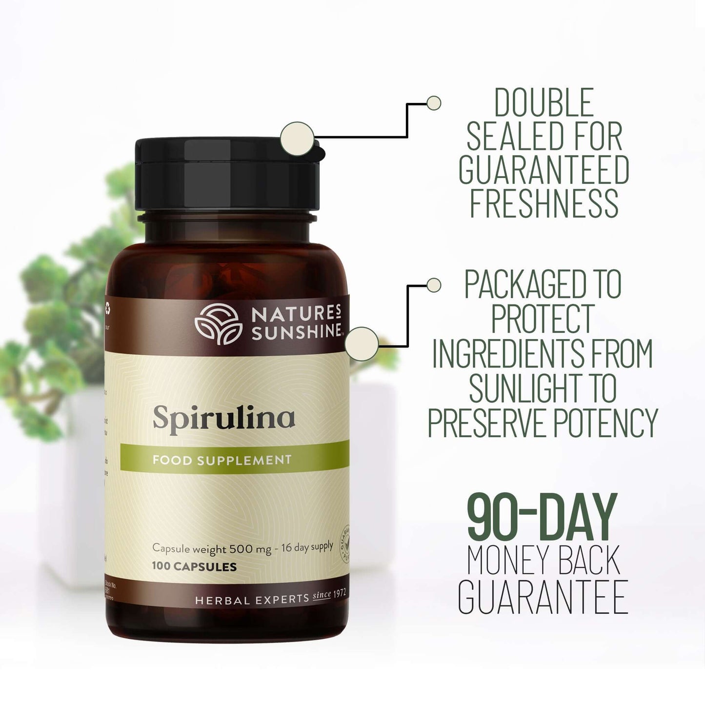 Nature’s Sunshine Spirulina supplement bottle with freshness seal, sunlight protection packaging, and 90-day money back guarantee.