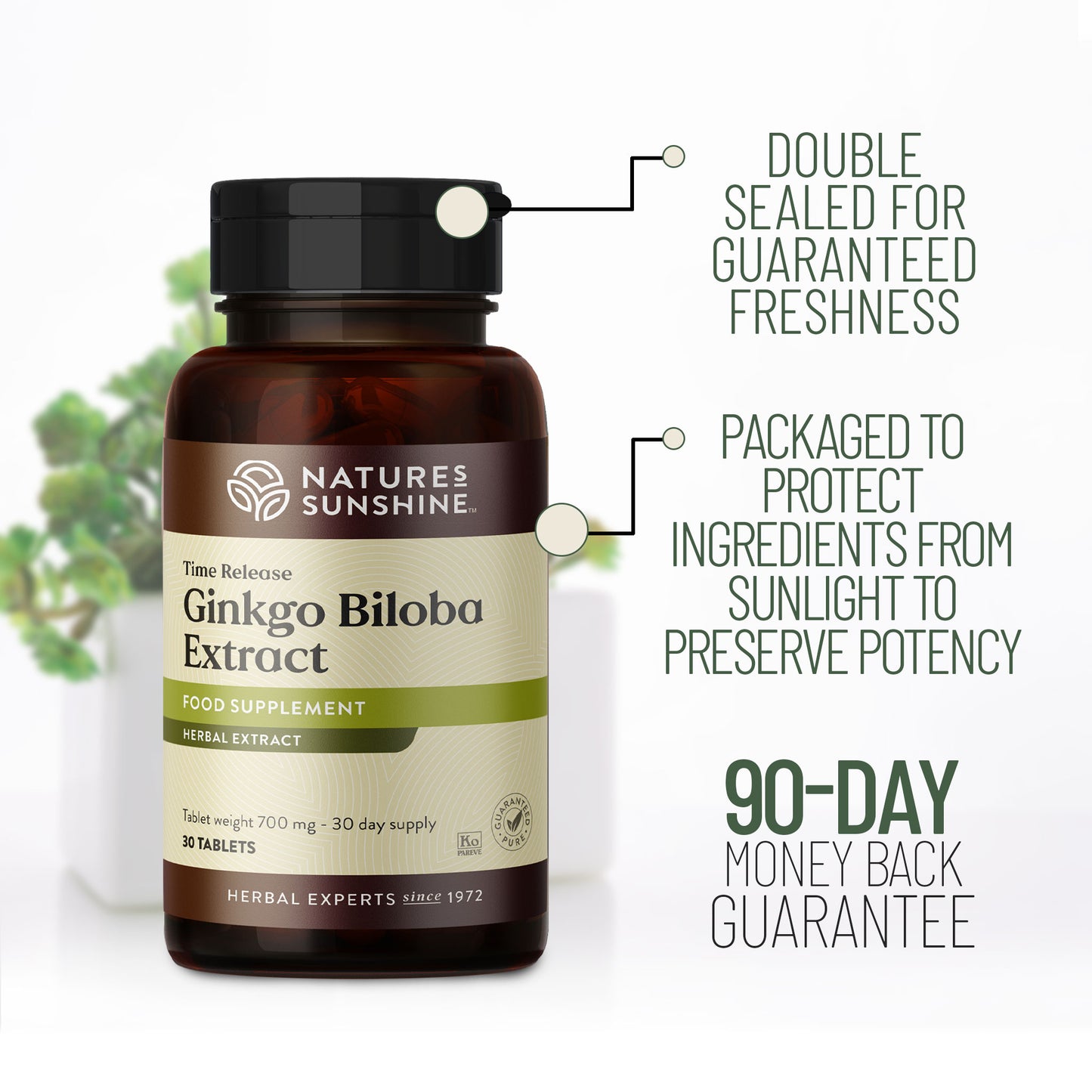 Ginkgo Biloba Extract 90 day money back guarantee
