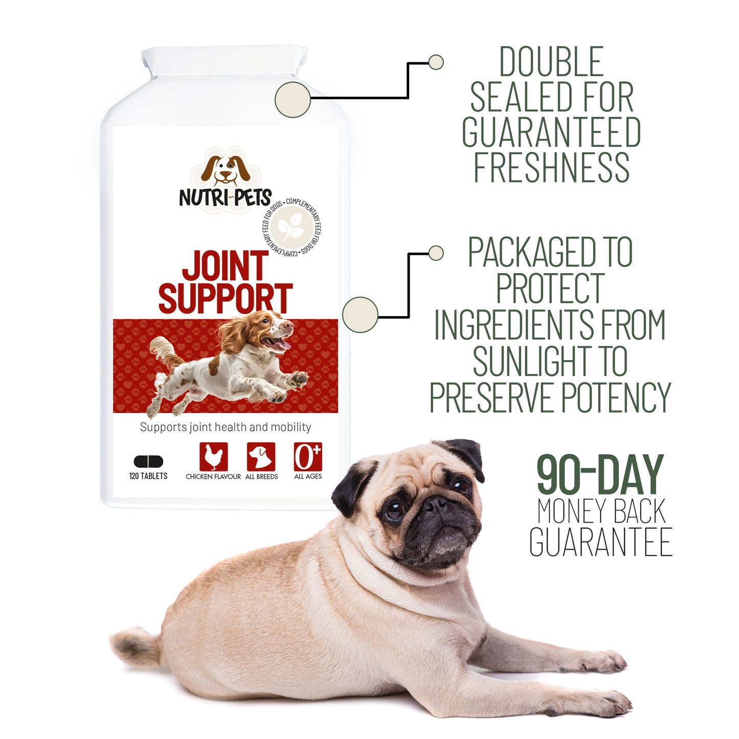Nutri-Pets Joint Support dog supplement bottle alongside a happy dog running through shallow water at the beach