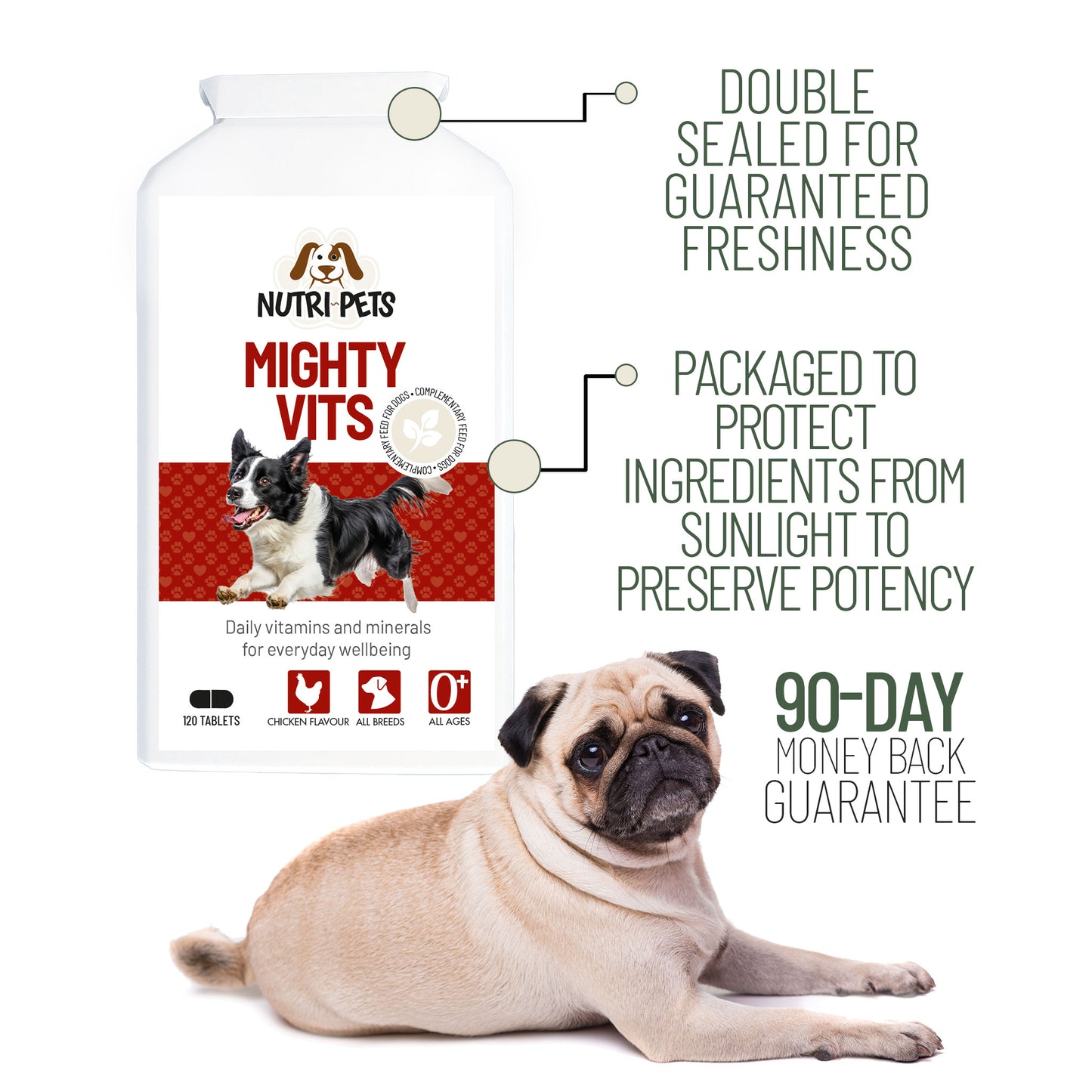 Nutri-Pets Mighty Vits dog supplement bottle shown beside a happy dog being held outdoors in warm sunlight.