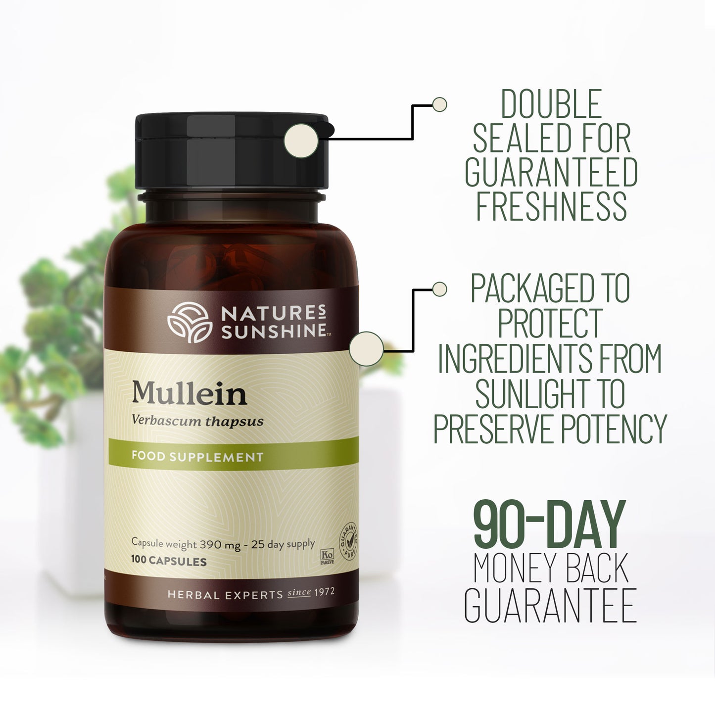 Nature’s Sunshine Mullein capsules beside a woman meditating outdoors on a yoga mat, surrounded by green countryside and trees.