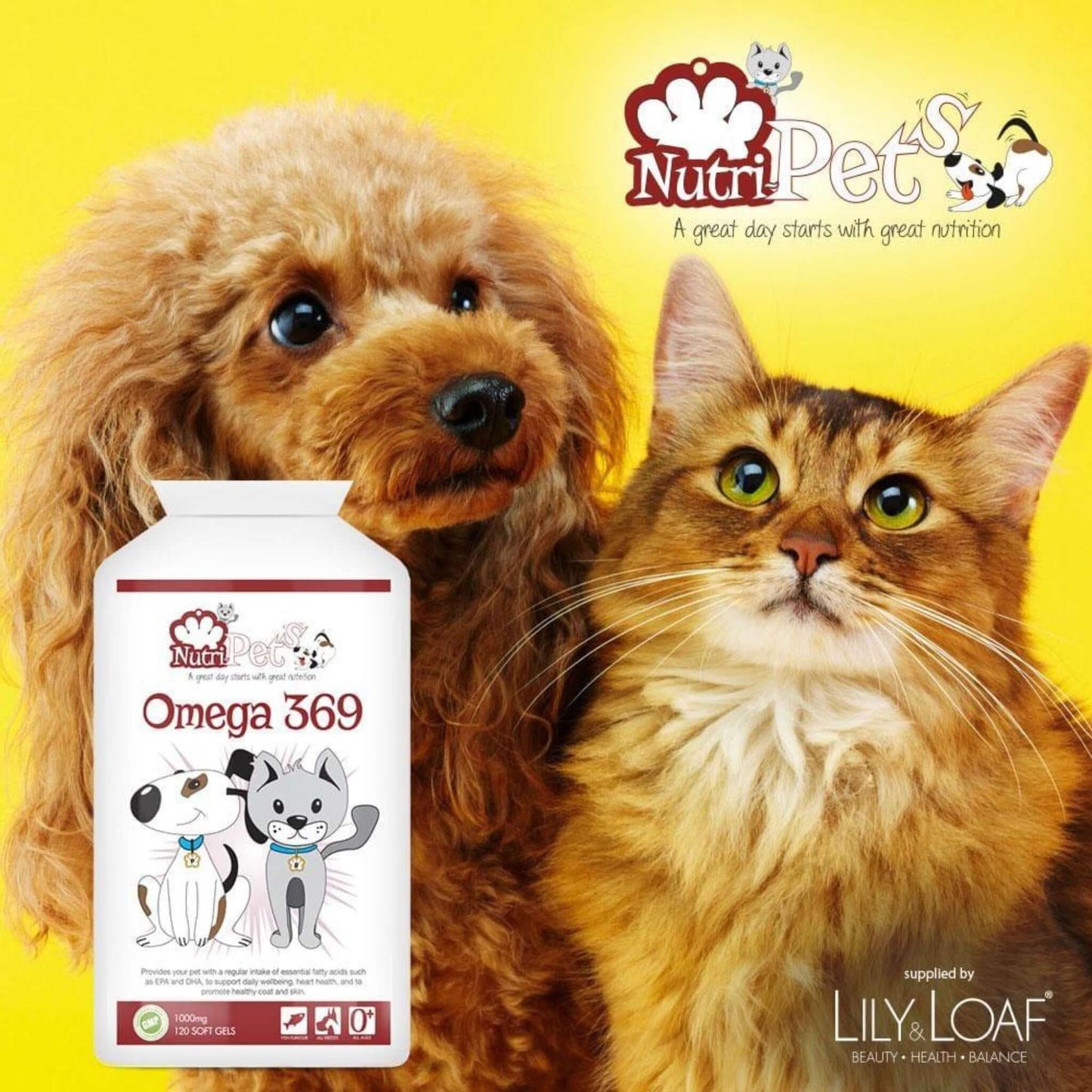 Dog and cat beside Nutri-Pets Omega 369 supplement bottle on a yellow background, supporting everyday pet nutrition.
