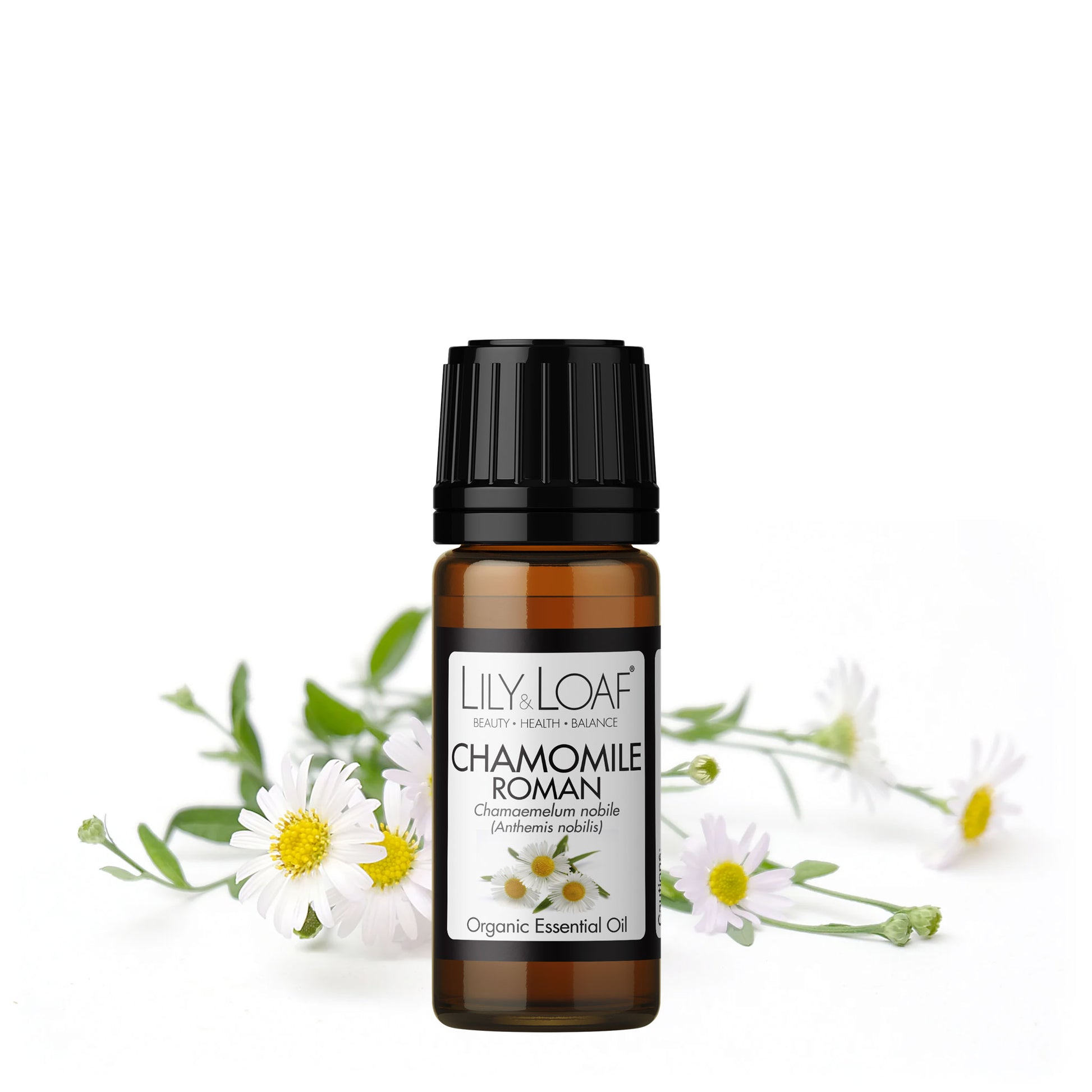 Lily and Loaf - Roman Chamomile Organic Essential Oil (10ml) - Essential Oil