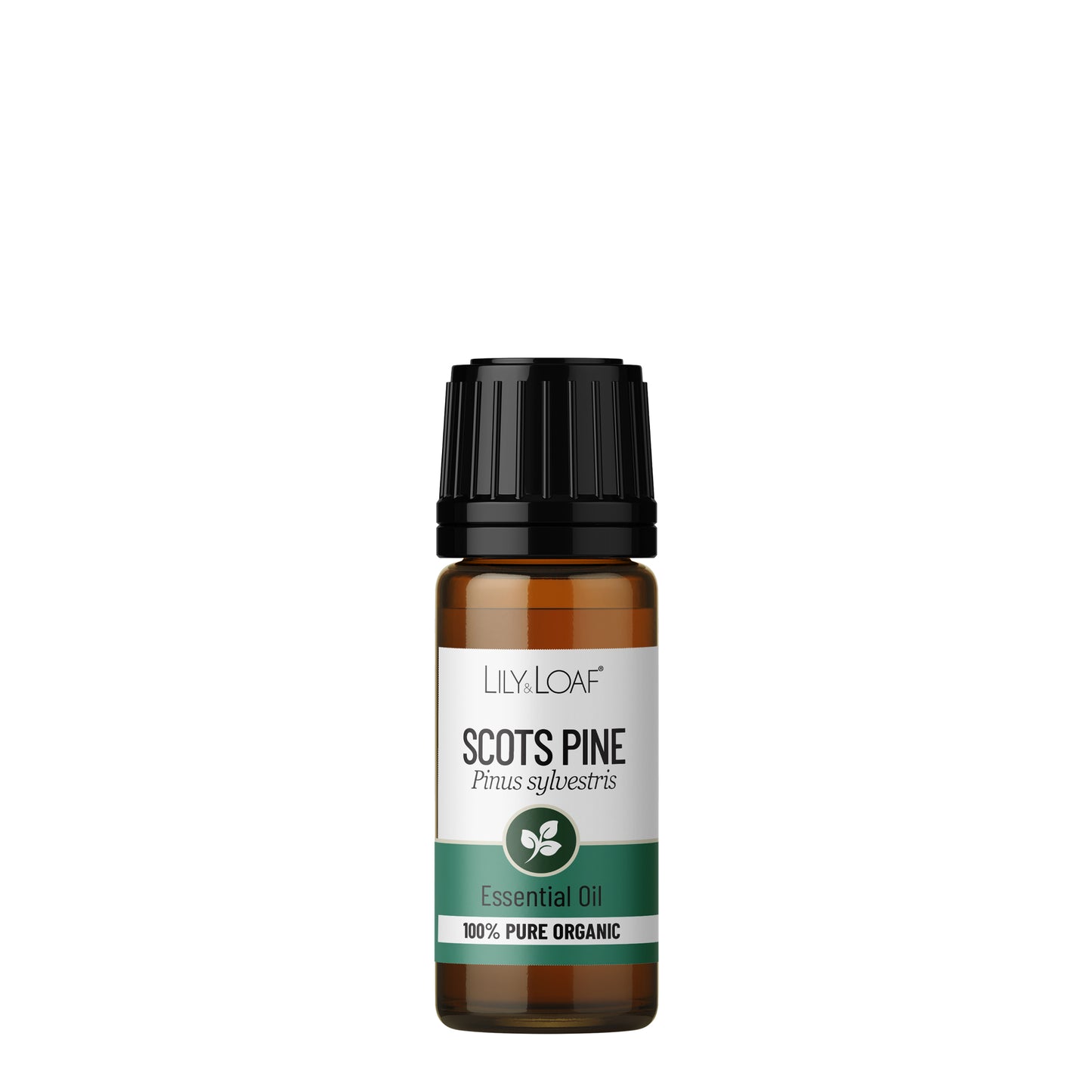 Scots Pine 10ml (Organic) front