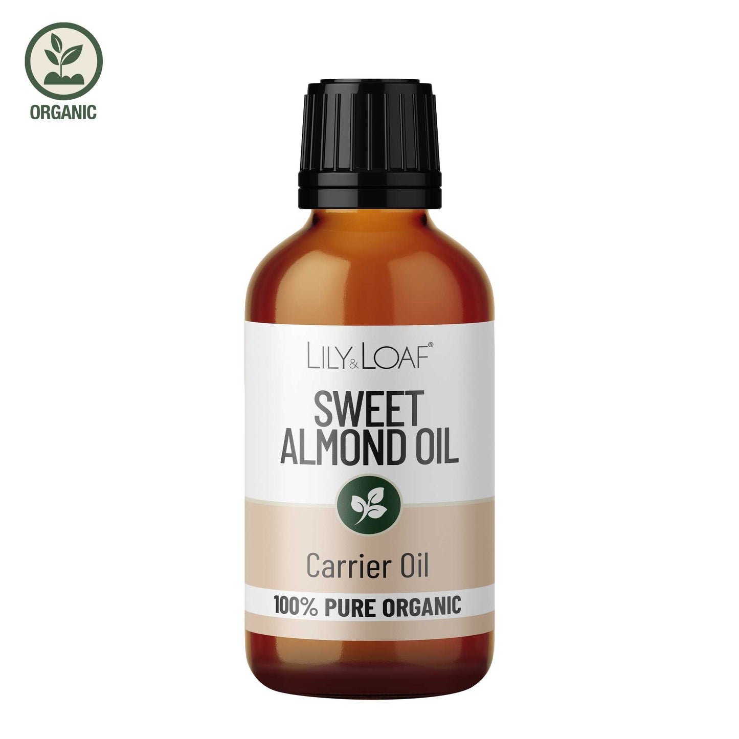 Sweet Almond Organic Carrier Oil front