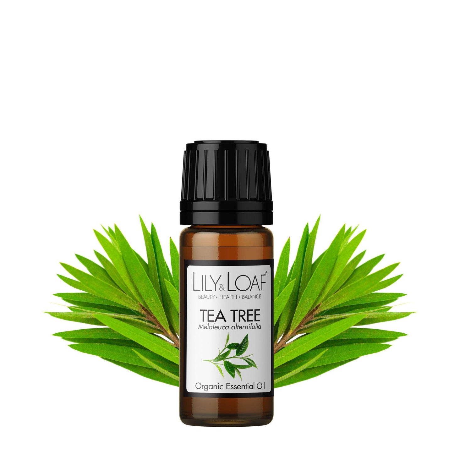Lily and Loaf - Tea Tree Organic Essential Oil (10ml) - Essential Oil