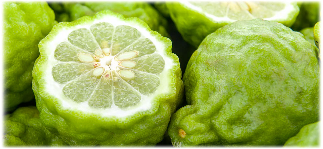 Fresh bergamot fruit with one whole and one cut open, showcasing vibrant green flesh and aromatic rind on a white background. The citrus fruit is known for its essential oil used in aromatherapy and flavouring.