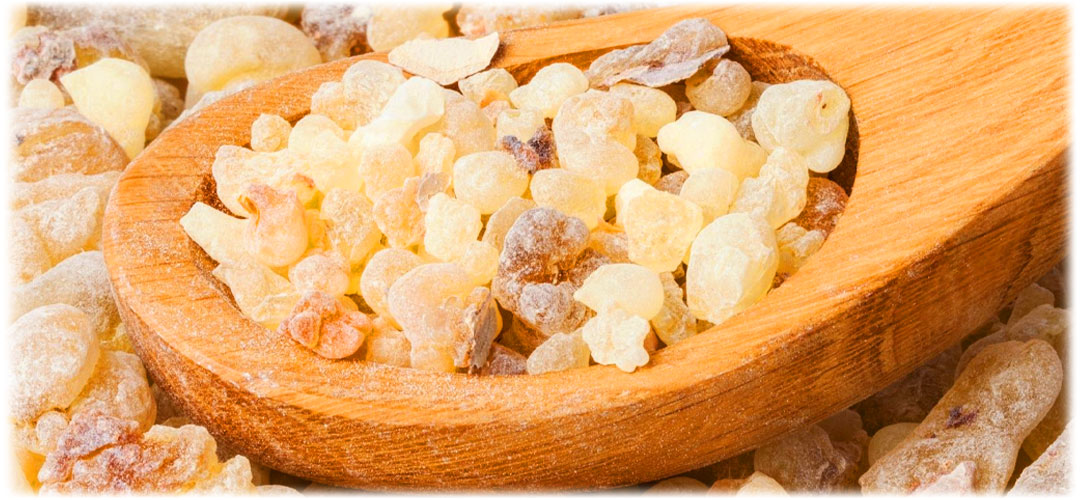 Close-up of frankincense resin granules in a wooden spoon, surrounded by additional resin pieces on a white background. Known for its aromatic and therapeutic properties.