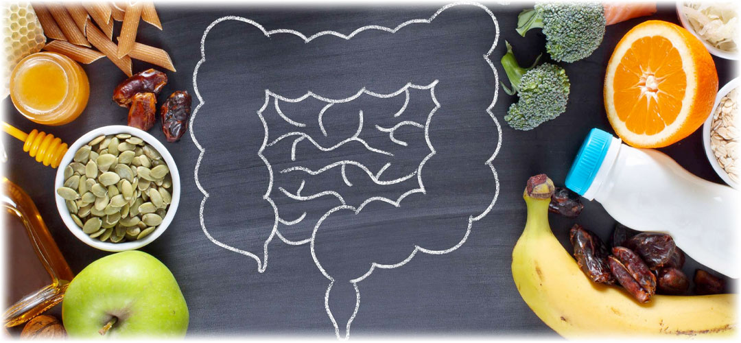 halk drawing of intestines on a blackboard surrounded by healthy foods like fruits, vegetables, and seeds, emphasizing digestive health and nutrition with Lily & Loaf products.