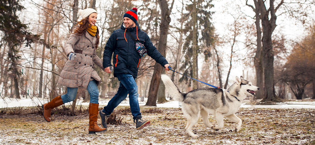 couple on winter walk in the park with dog
