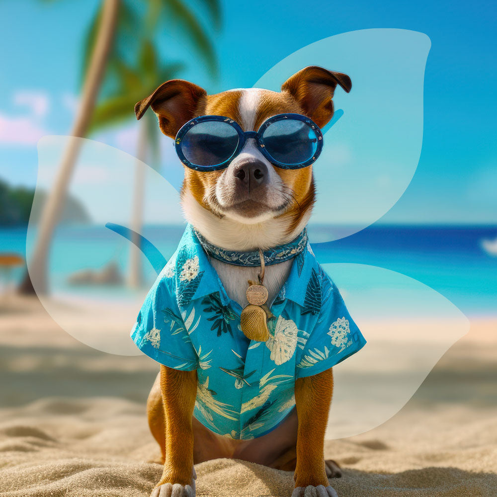 Dog wearing sunglasses and a Hawaiian shirt on a beach