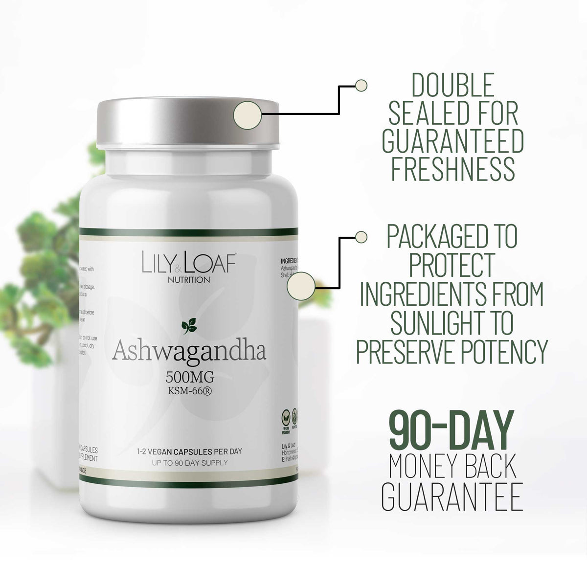 Lily & Loaf Nutrition Ashwagandha KSM66 capsules with a silver cap, shown on a white background with green leaves at the side and text callouts about double sealing, ingredient protection, and a 90-day money back guarantee.