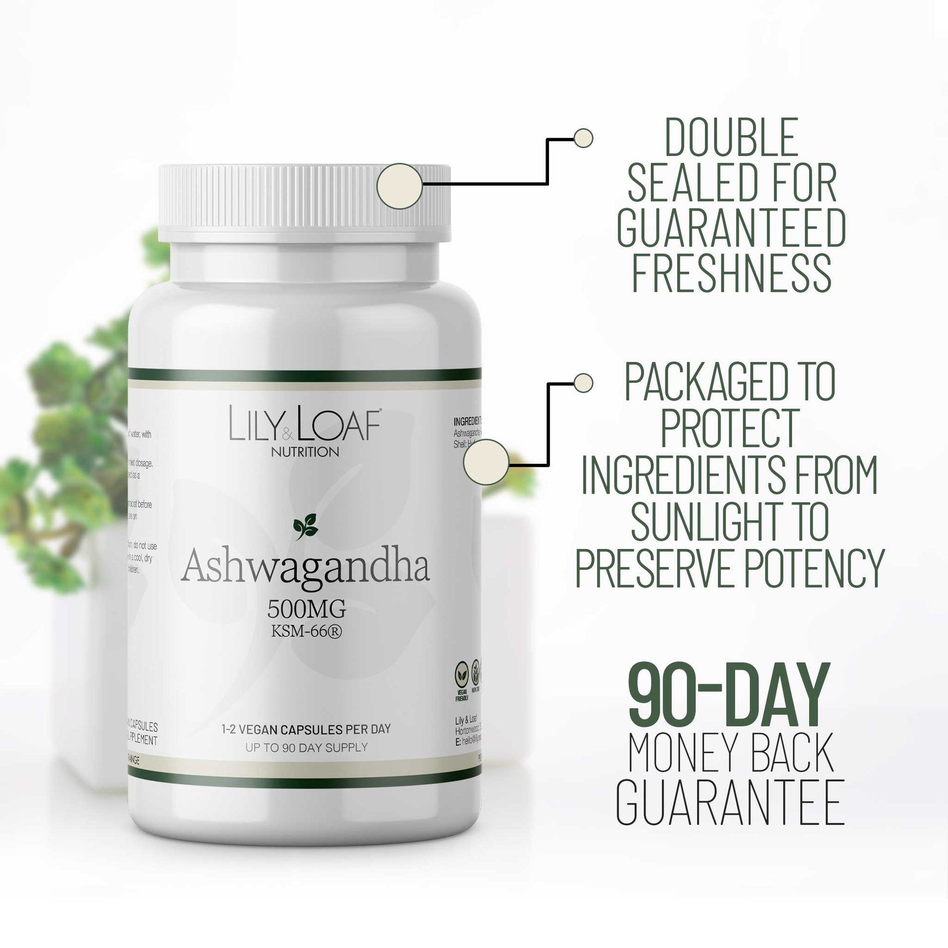 Vegan Ashwagandha KSM-66 | Botanical Extract | Lily & Loaf Vegan Ashwagandha KSM-66 | Botanical Extract | Lily & Loaf