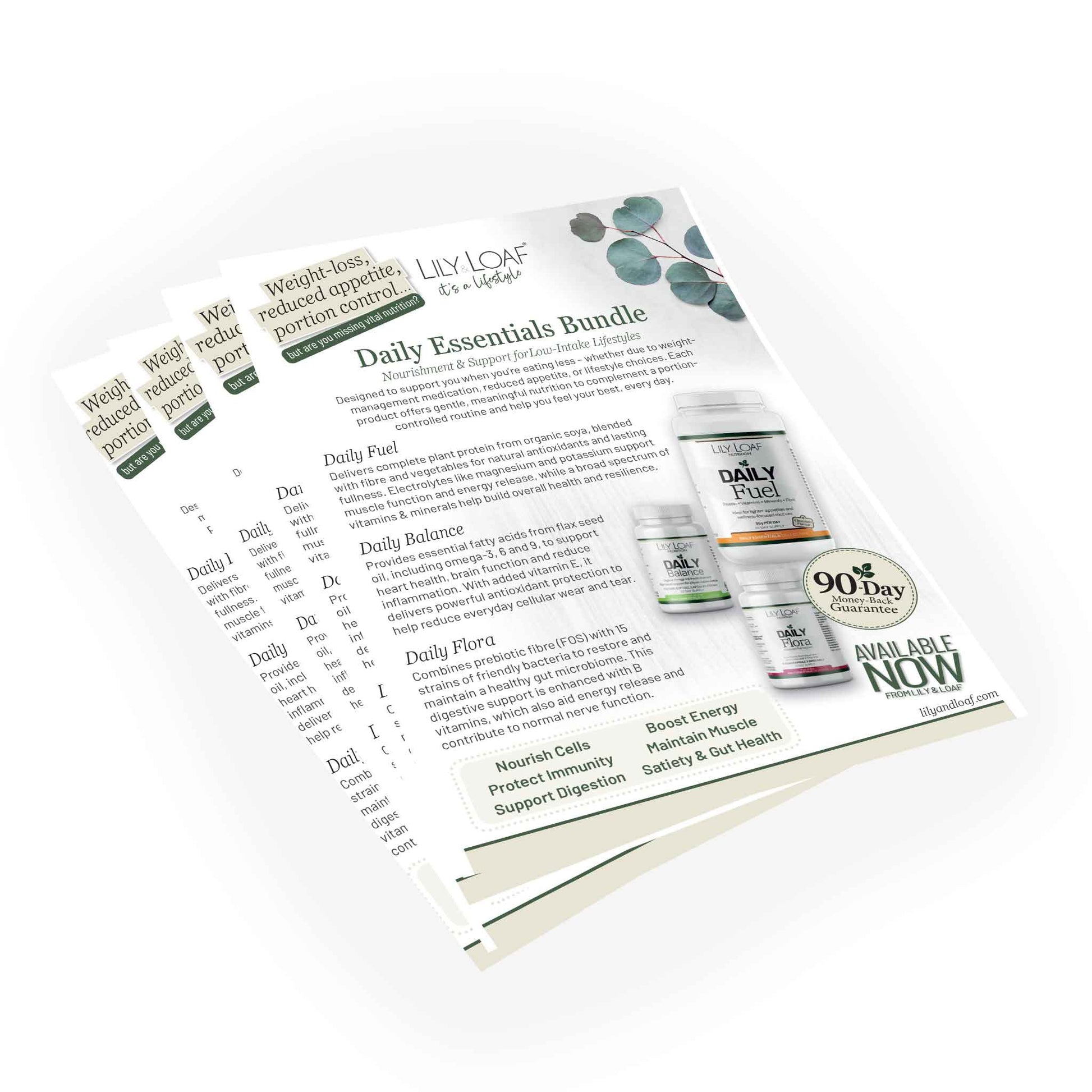 Lily & Loaf Daily Essentials Bundle flyer with product images on a white background