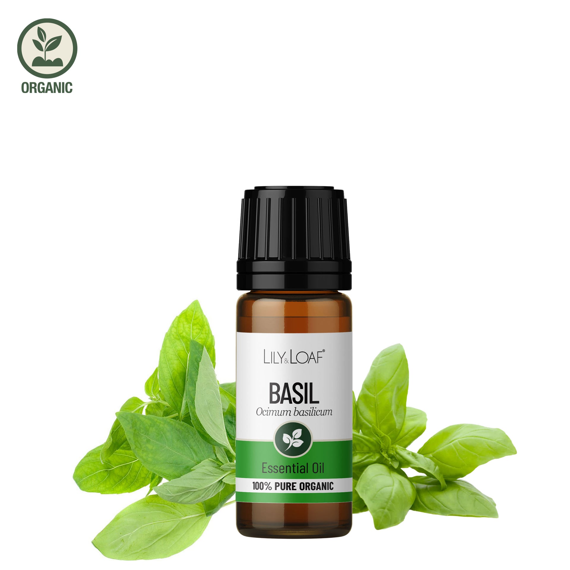 Basil Organic Essential Oil
