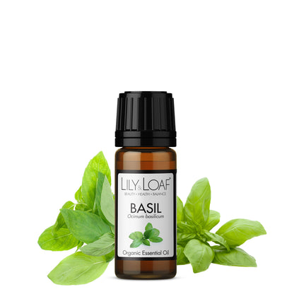 Basil Organic Essential Oil 10ml with ingredient