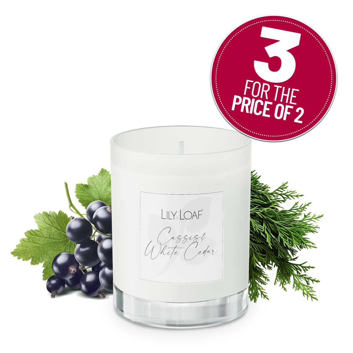 Cassis & White Cedar Soy Wax Candle