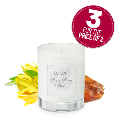 Ylang Ylang & Amber Soy Wax Candle