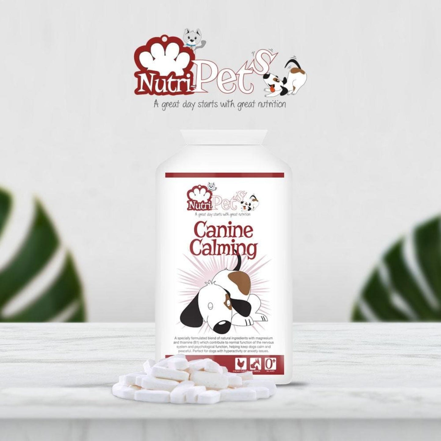 Nutri-Pets Canine Calming bottle and tablets on a table depicting the size of the product