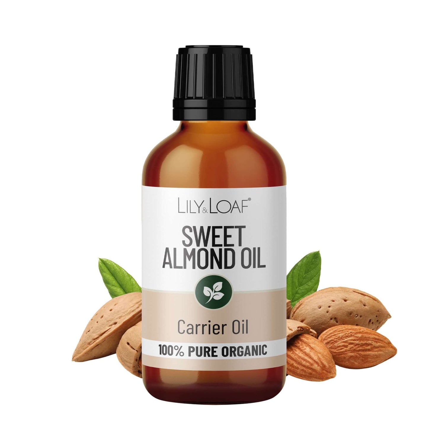 Organic Sweet Almond Oil | For Skin & Massage | Lily & Loaf Organic Sweet Almond Oil | For Skin & Massage | Lily & Loaf