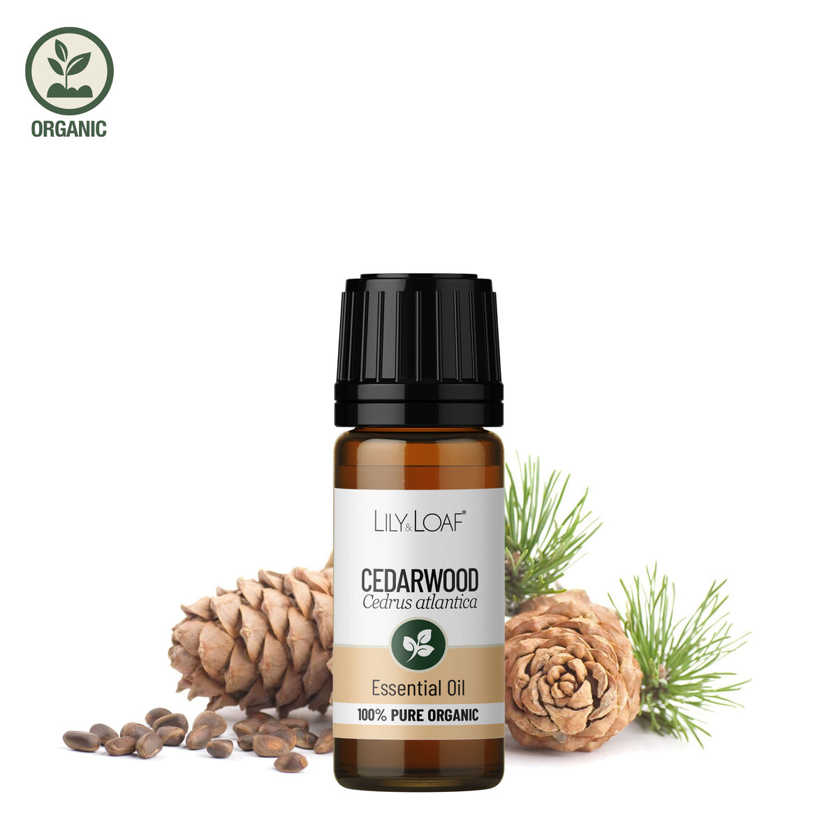 Cedarwood Atlas Organic Essential Oil