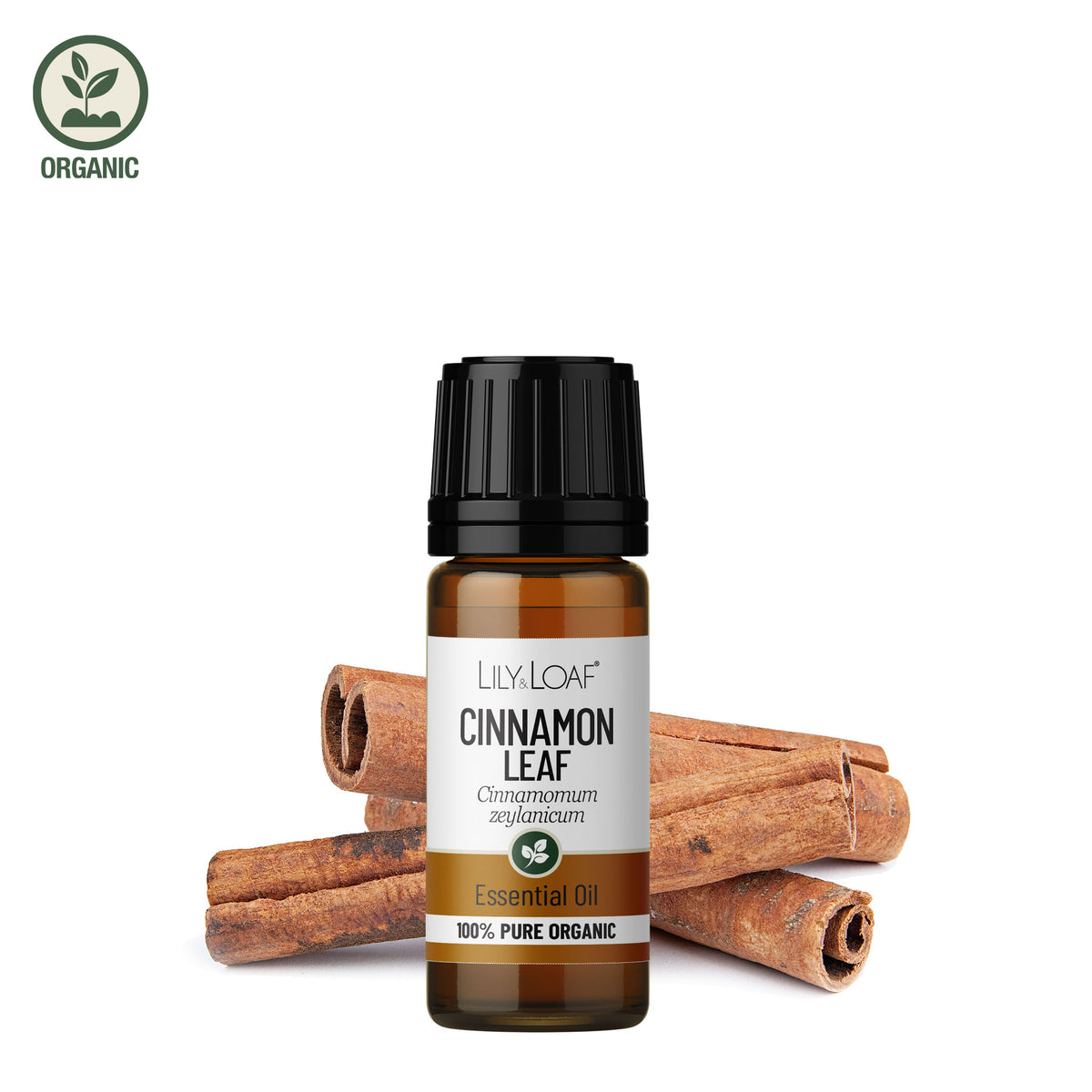 Cinnamon Leaf Organic Essential Oil