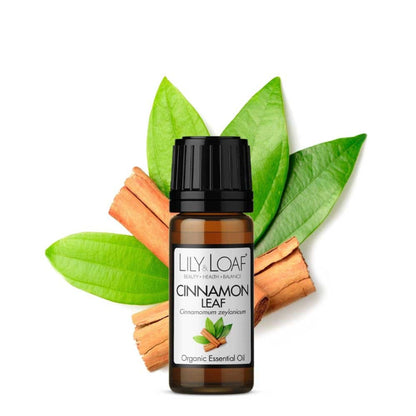 Cinnamon Leaf Organic Essential Oil surrounded by cinnamon sticks and leaves depicting the botanicals included in the oil