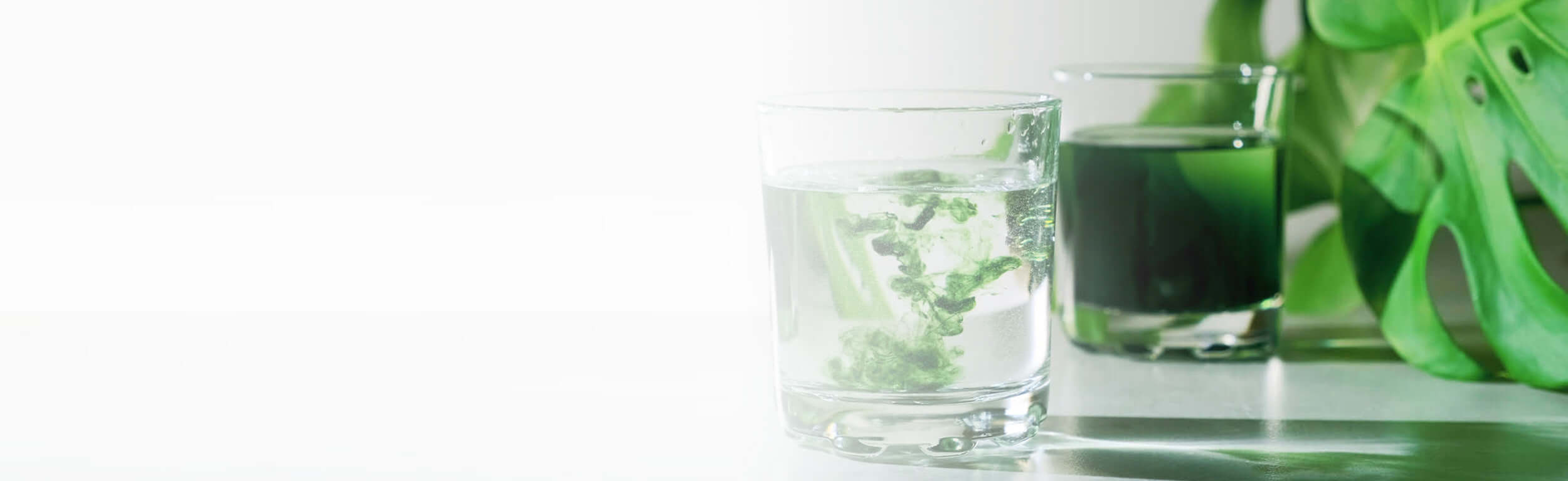 Chlorophyll dripped in a glass of water