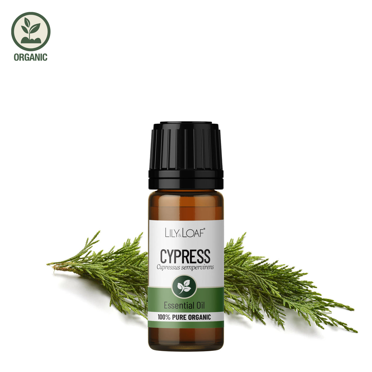 Cypress Organic Essential Oil
