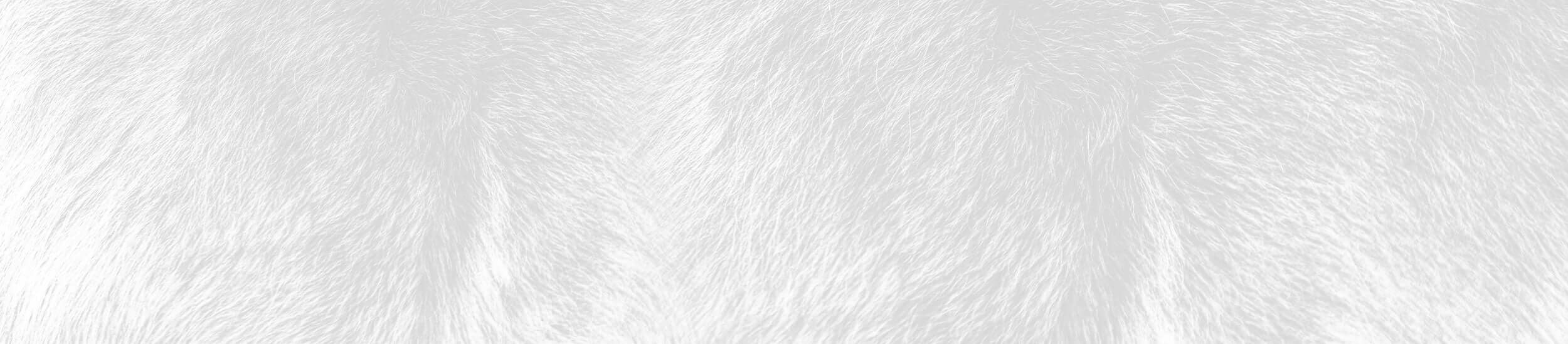 A close-up of of a husky dog fur