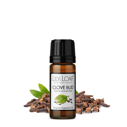 Clove Bud Organic Essential Oil