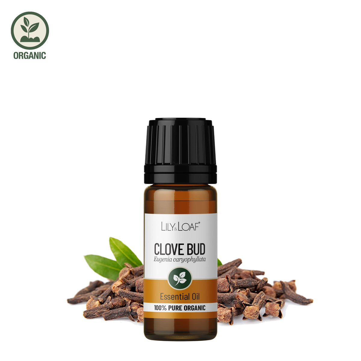 Clove Bud Organic Essential Oil