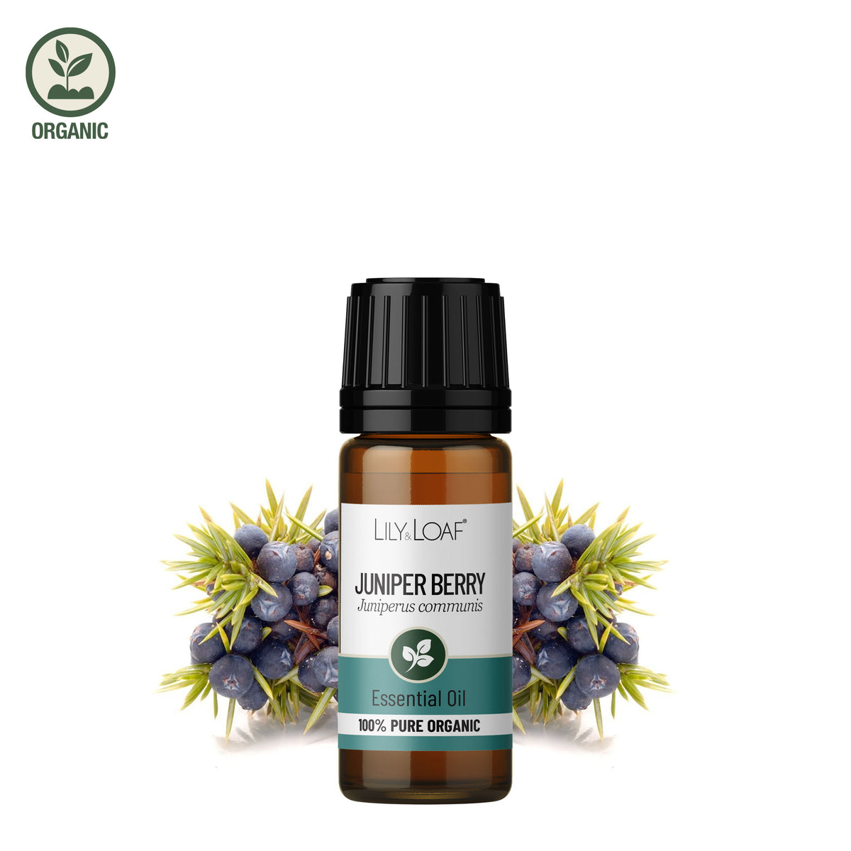 Juniper Organic Essential Oil