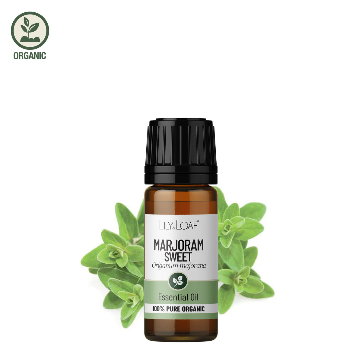 Marjoram Organic Essential Oil