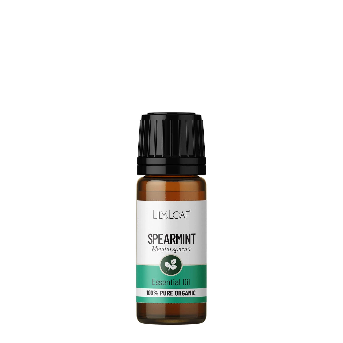 Spearmint essential oil bottle with a white label on a white background