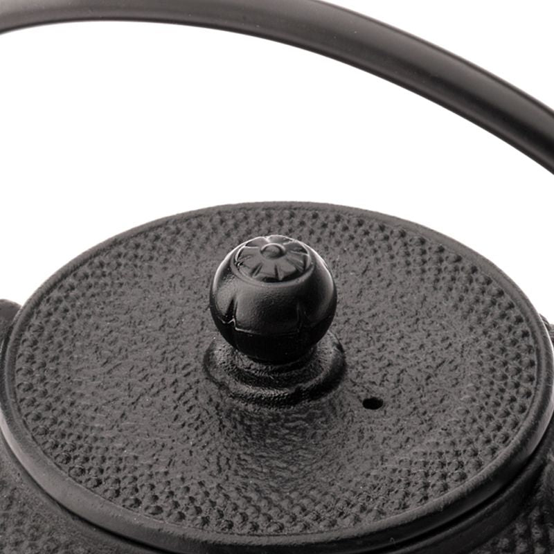 Jang Cast Iron Teapot