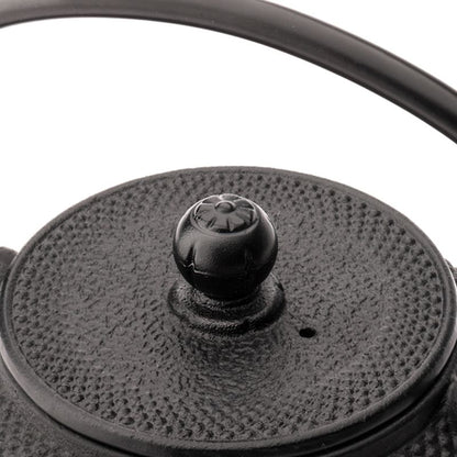 Jang Cast Iron Teapot