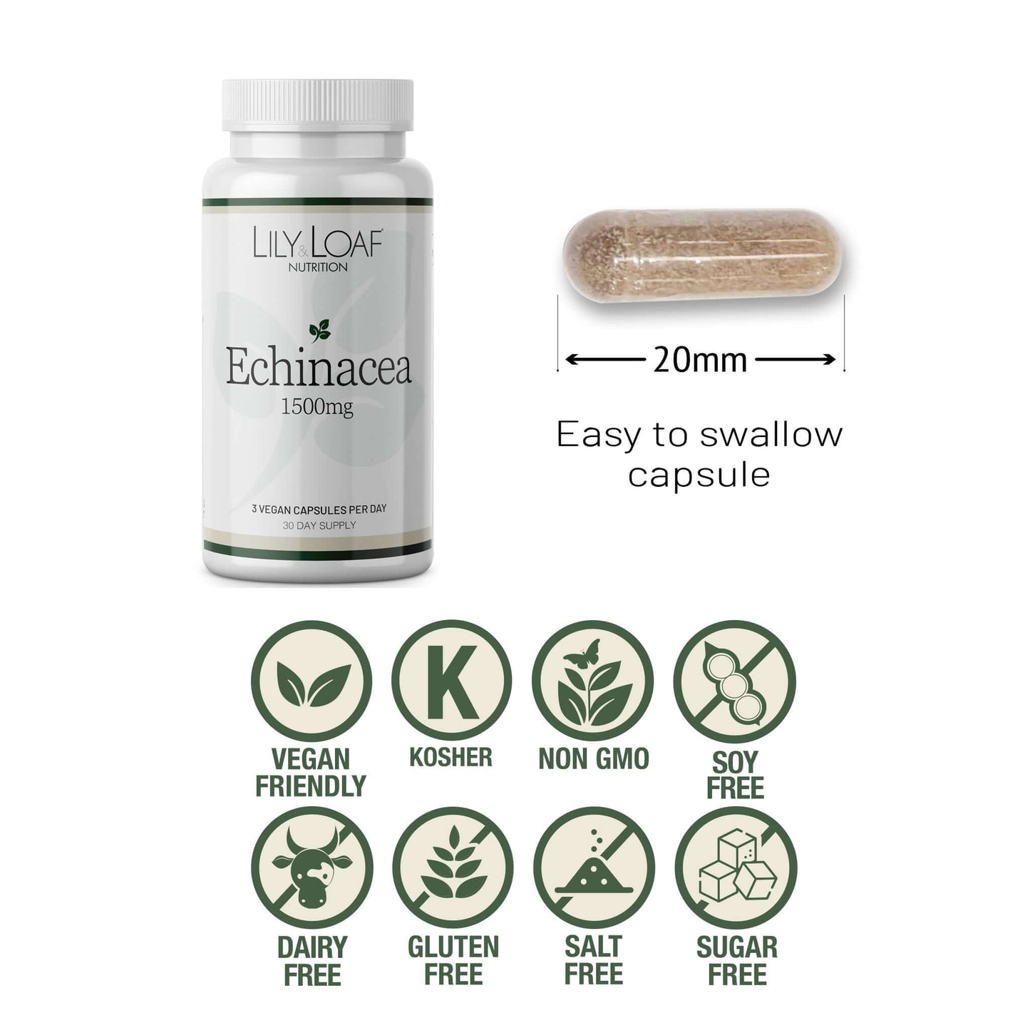 Lily & Loaf Echinacea 1500mg bottle with 20mm capsule, vegan, kosher, non-GMO, soy, dairy, gluten, salt, and sugar free