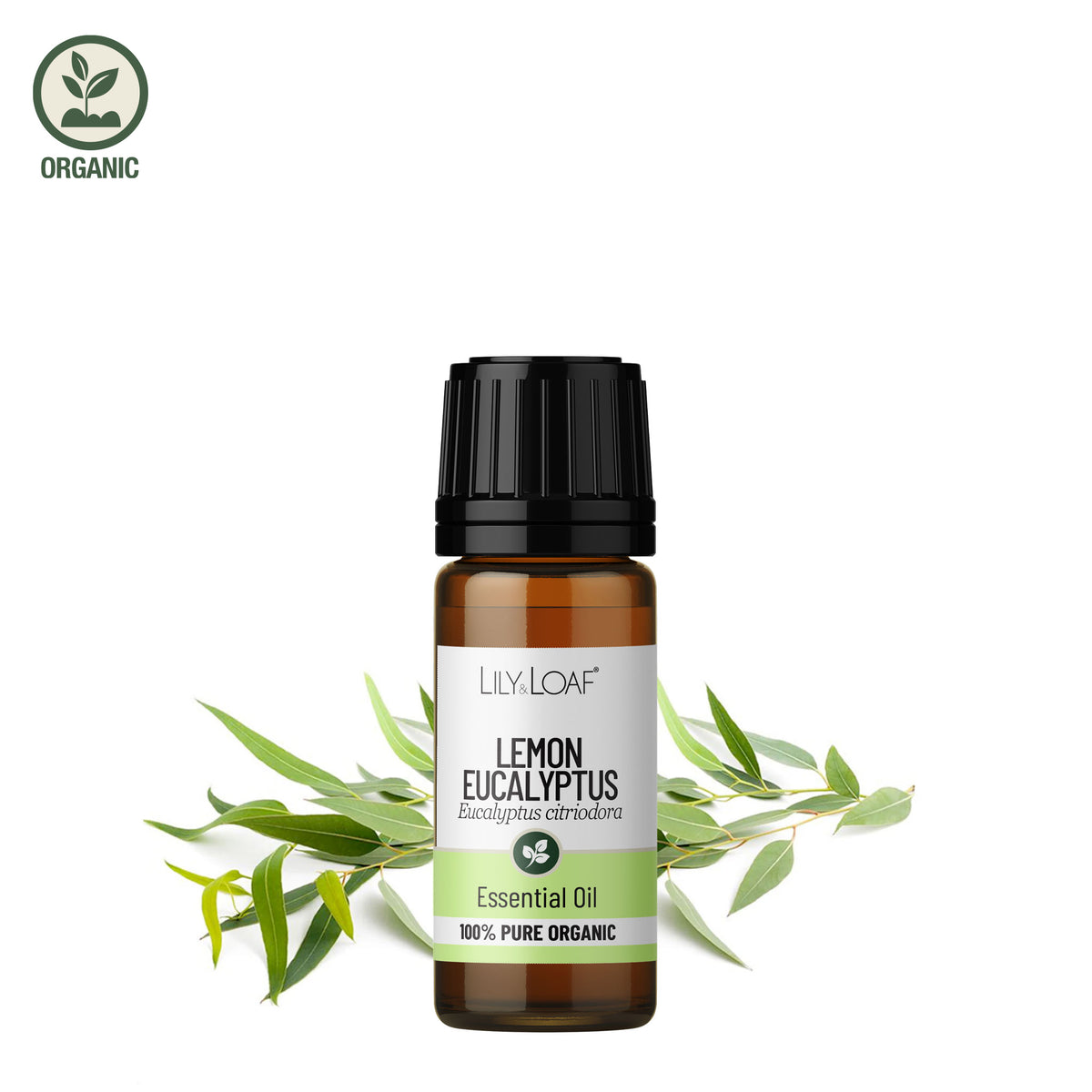 Lemon Eucalyptus Organic Essential Oil