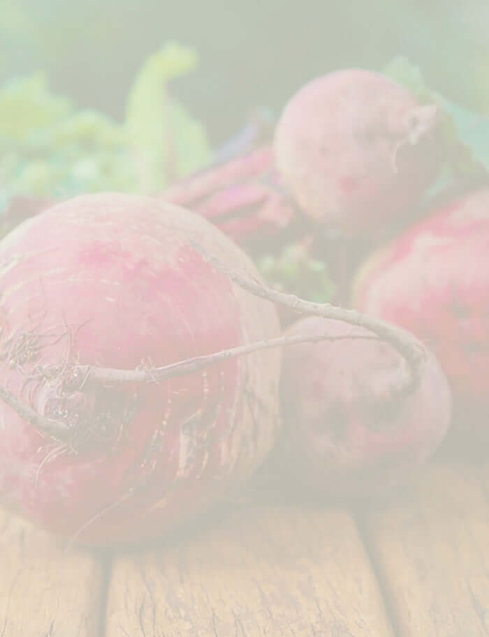 fresh beetroot on bench in garden