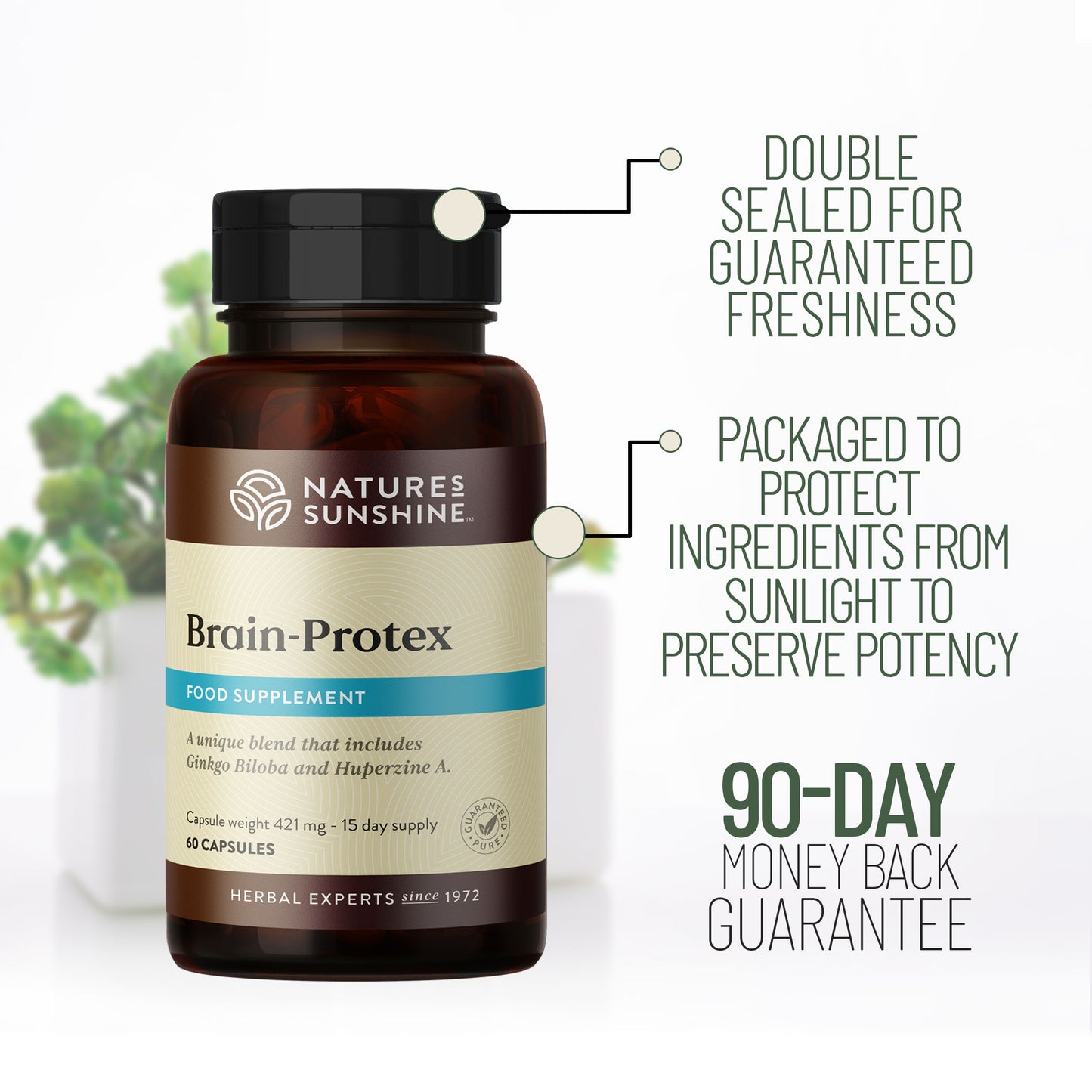 Brain Protex with Huperzine