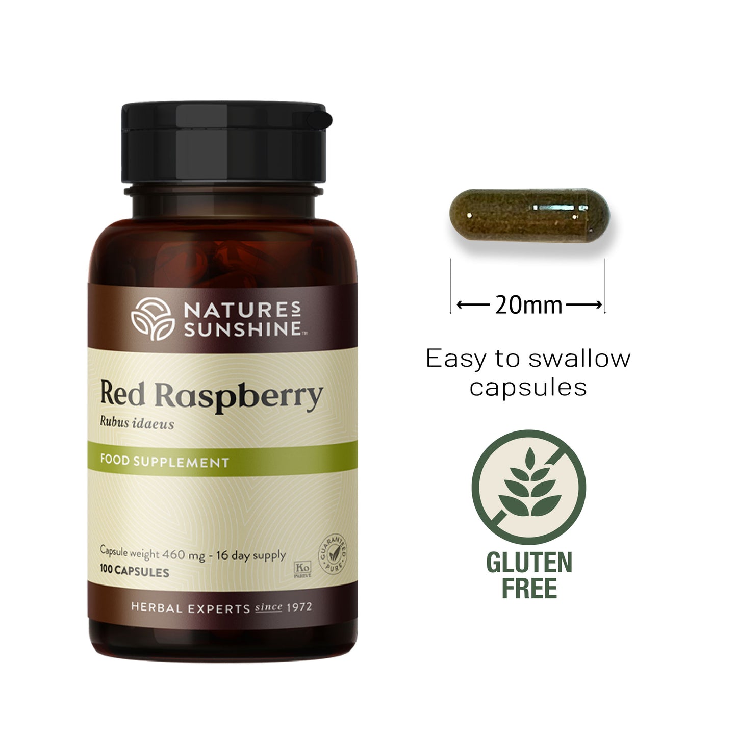 Nature’s Sunshine Red Raspberry supplement bottle with capsule shown beside for size reference, labelled gluten free.