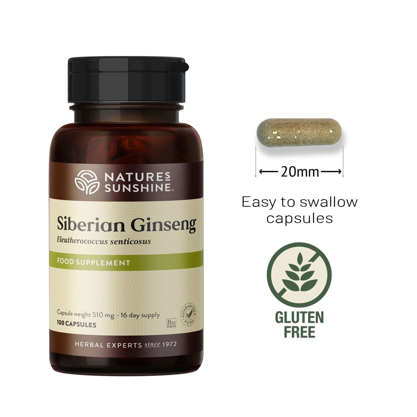 Nature's Sunshine Siberian Ginseng supplement bottle with capsule and branding details on a white background